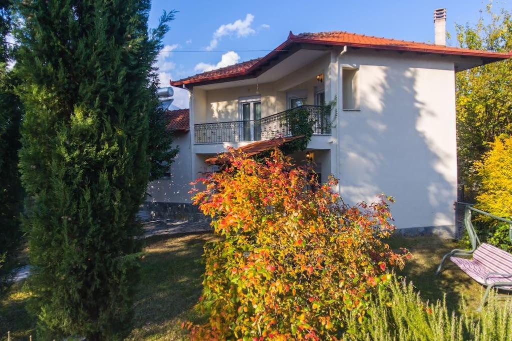 Woods Cottage Loutra Pozar Aridaia Megaplatanos Exteriér fotografie