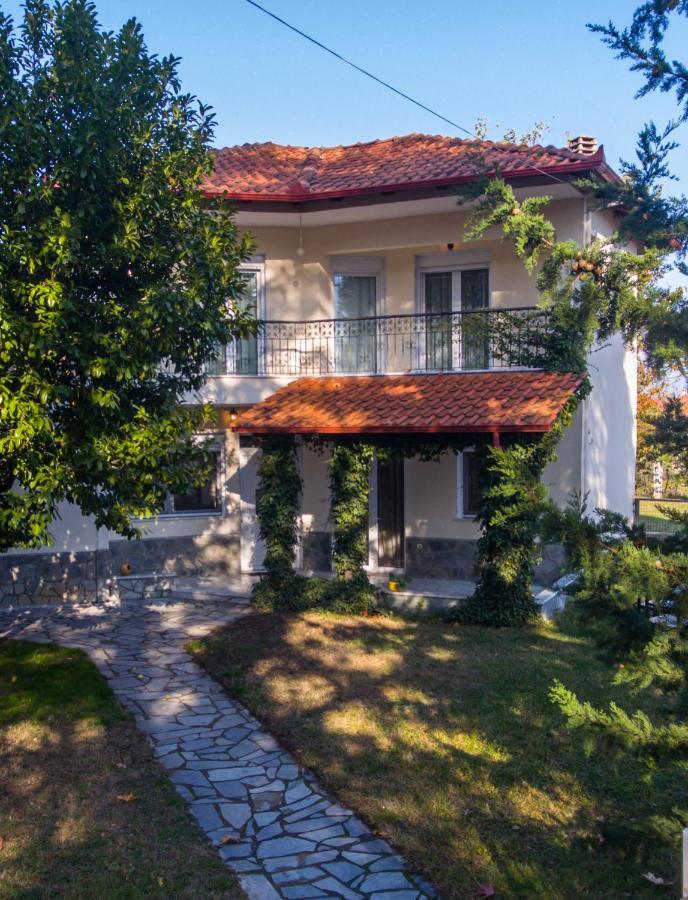 Woods Cottage Loutra Pozar Aridaia Megaplatanos Exteriér fotografie